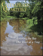 issue cover - headwaters of the Corsica River by Erica Goldman